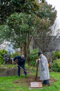 Arbre de la Laïcité (suite)